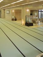 MIGUSA 引目-茶綠